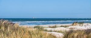 Превью обои трава, пляж, море, волны, горизонт, небо, пейзаж