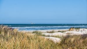 Превью обои трава, пляж, море, волны, горизонт, небо, пейзаж