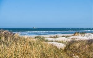 Превью обои трава, пляж, море, волны, горизонт, небо, пейзаж