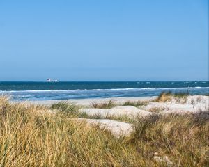Превью обои трава, пляж, море, волны, горизонт, небо, пейзаж