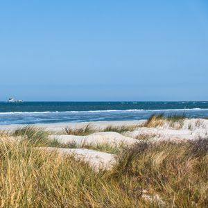 Превью обои трава, пляж, море, волны, горизонт, небо, пейзаж