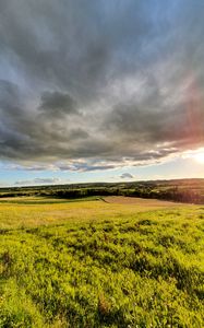 Превью обои трава, поле, деревья, кусты, лучи, небо