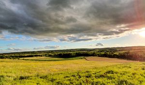 Превью обои трава, поле, деревья, кусты, лучи, небо