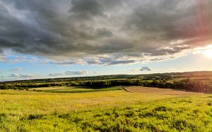 Превью обои трава, поле, деревья, кусты, лучи, небо