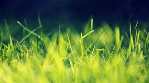 Превью обои трава, поле, газон, светлый, тень