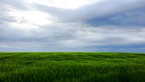 Превью обои трава, поле, небо, пейзаж, природа