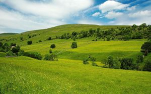 Превью обои трава, поле, небо, лето