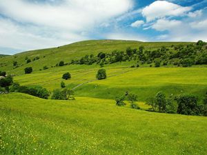 Превью обои трава, поле, небо, лето