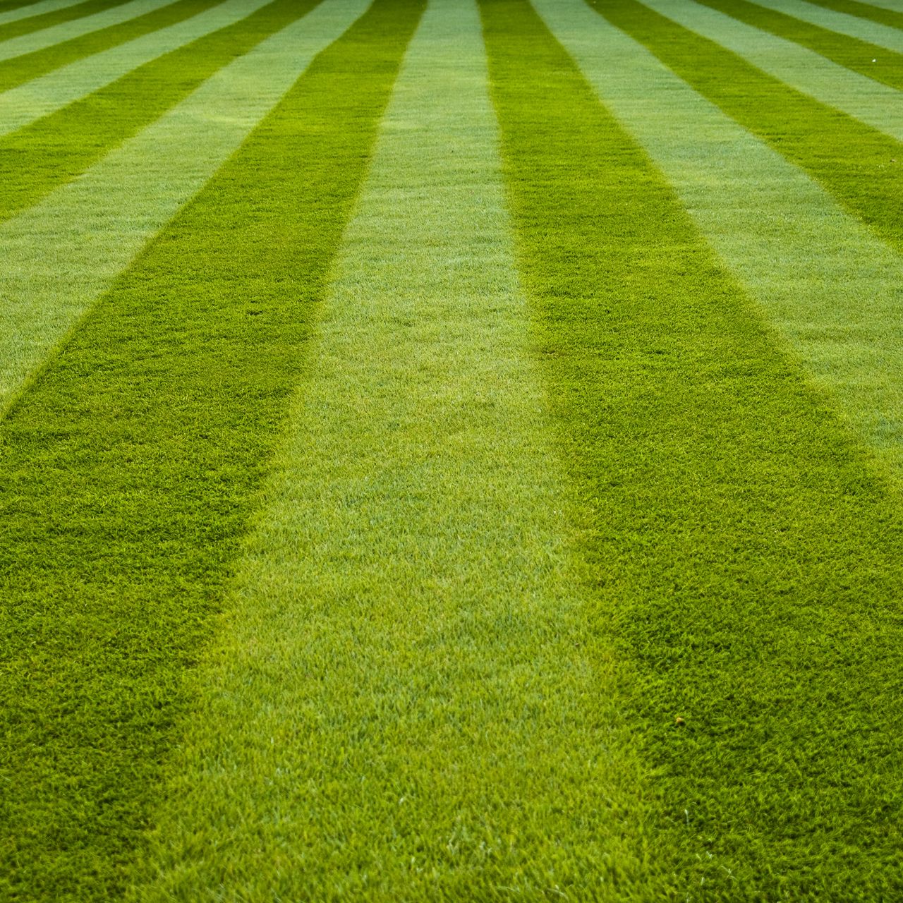 Зеленый стадион. Спортивный газон. Пол зеленая трава. Газон "спортивный" Green fingers. Стадион трава.