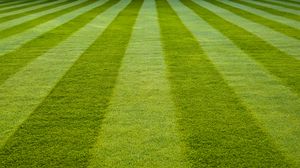 Превью обои трава, поле, зеленый, стадион