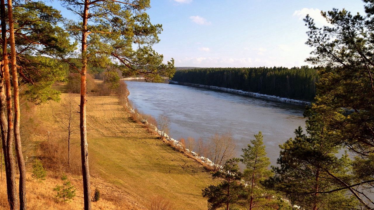 Обои трава, река, берег, деревья