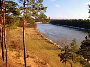 Превью обои трава, река, берег, деревья