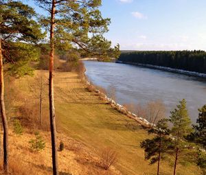 Превью обои трава, река, берег, деревья