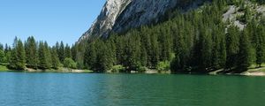 Превью обои трава, река, деревья, склон, гора