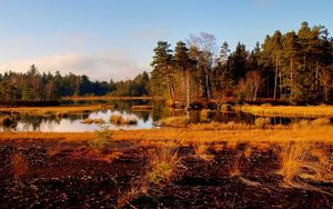 Превью обои трава, река, деревья, осень, природа