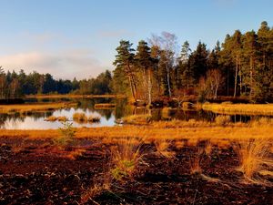 Превью обои трава, река, деревья, осень, природа