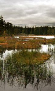 Превью обои трава, река, небо, красиво