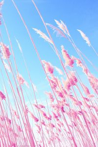 Превью обои трава, розовый, небо