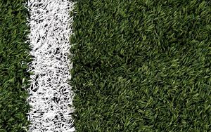 Превью обои трава, стадион, краска, разметка, зеленый