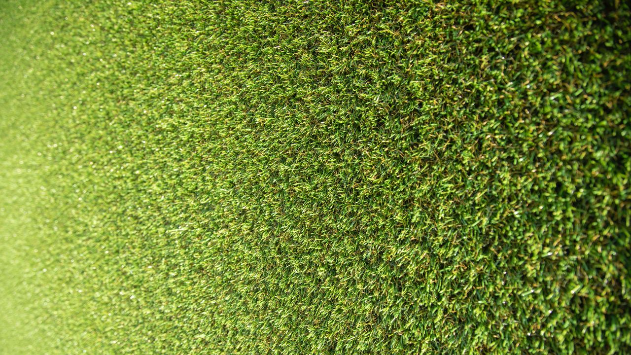Обои трава, стадион, зеленый