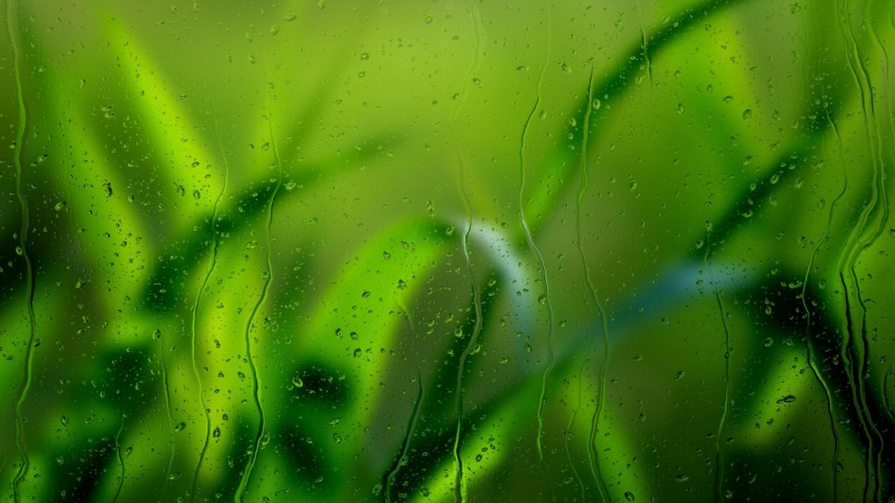 Обои трава, стекло, дождь, капли