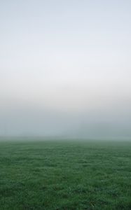 Превью обои трава, туман, густой, непроглядный, поле