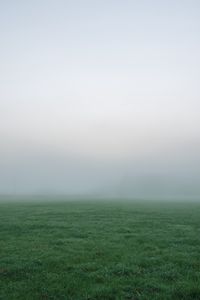 Превью обои трава, туман, густой, непроглядный, поле