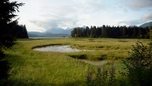 Превью обои трава, водоем, горы, деревья, поле