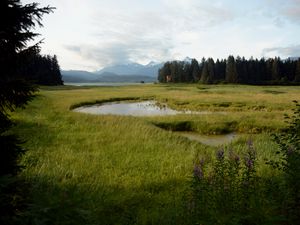 Превью обои трава, водоем, горы, деревья, поле