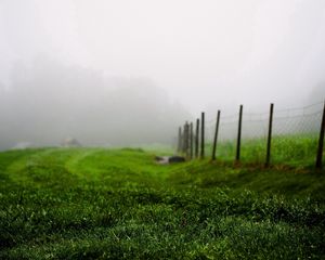 Превью обои трава, зеленая, лето, туман, забор, утро