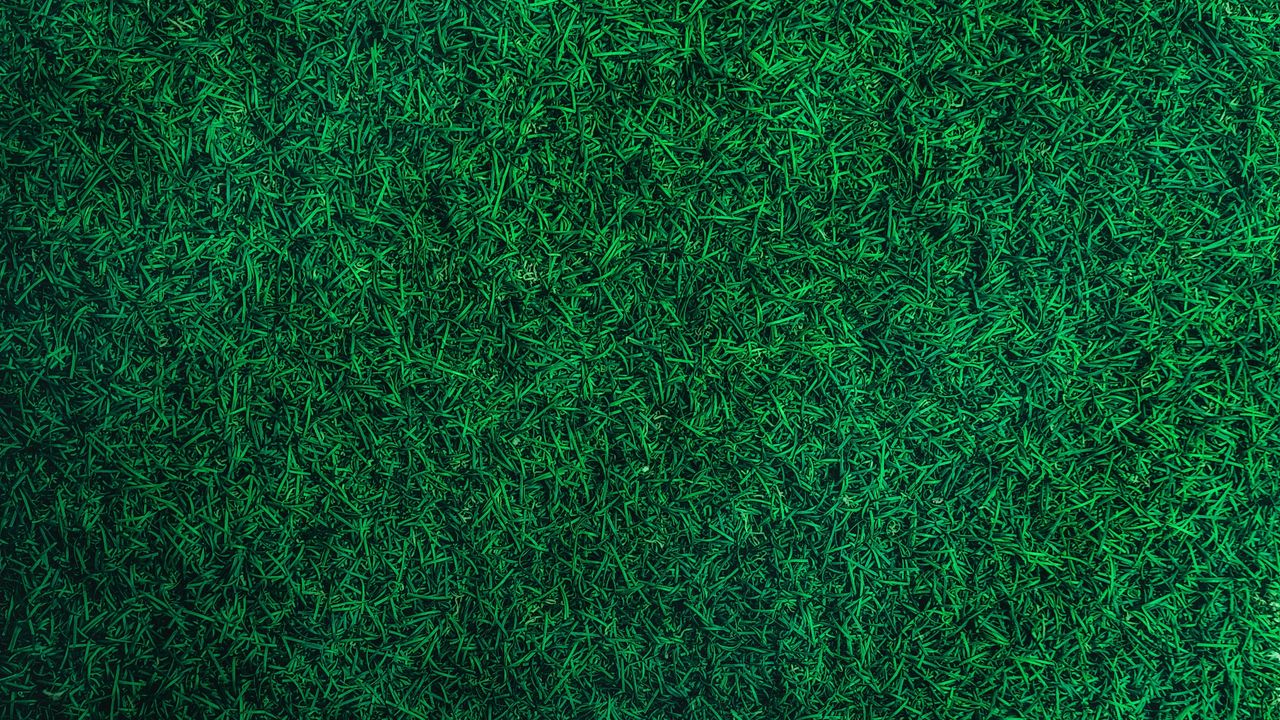 Обои трава, зеленый, газон, вид сверху