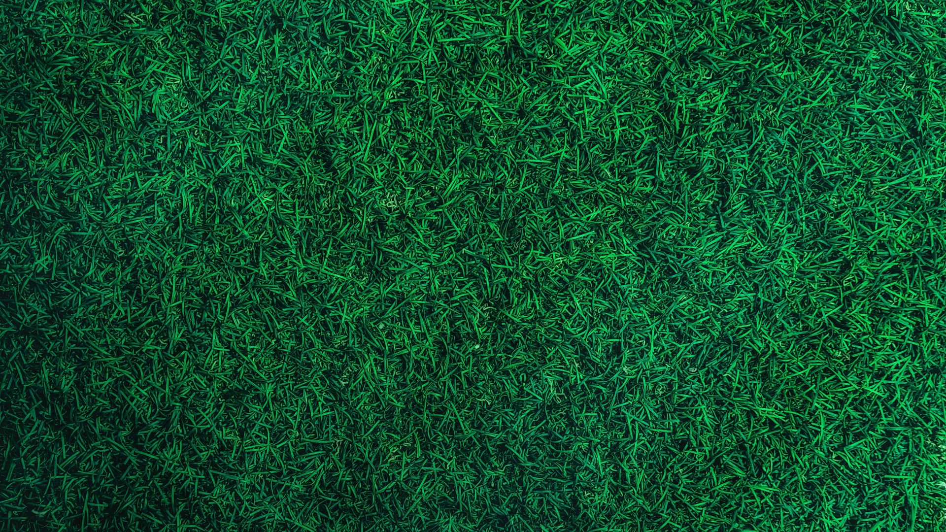 Скачать 1920x1080 трава, зеленый, газон, вид сверху обои, картинки full hd, hdtv, fhd, 1080p