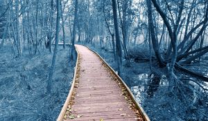 Превью обои тропа, деревья, лес, природа, листья