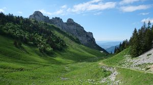 Превью обои тропа, долина, склон, деревья, скала