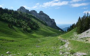 Превью обои тропа, долина, склон, деревья, скала