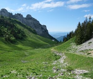 Превью обои тропа, долина, склон, деревья, скала