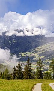 Превью обои тропа, елки, лес, облака, горы