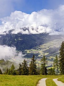 Превью обои тропа, елки, лес, облака, горы