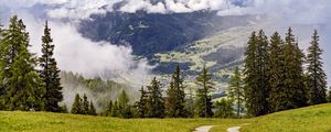 Превью обои тропа, елки, лес, облака, горы
