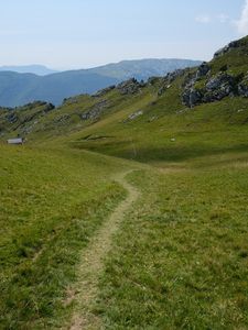 Превью обои тропа, холмы, трава