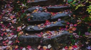 Превью обои тропа, камни, опавшие листья, осень