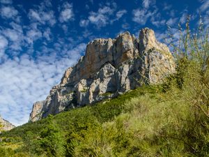 Превью обои тропа, кусты, скала