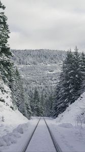 Превью обои тропа, лес, зима, горы