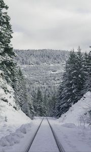 Превью обои тропа, лес, зима, горы
