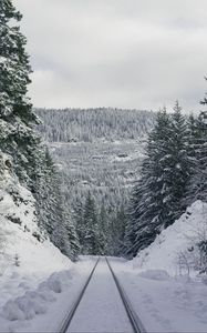 Превью обои тропа, лес, зима, горы