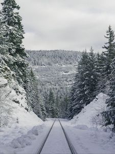 Превью обои тропа, лес, зима, горы