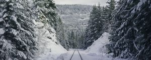 Превью обои тропа, лес, зима, горы