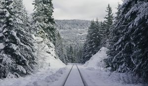 Превью обои тропа, лес, зима, горы