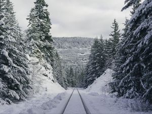 Превью обои тропа, лес, зима, горы