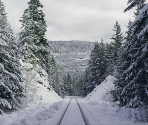 Превью обои тропа, лес, зима, горы